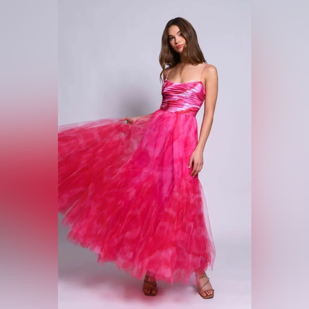 Hutch Toni Pink Strapless Maxi Tulle Dress